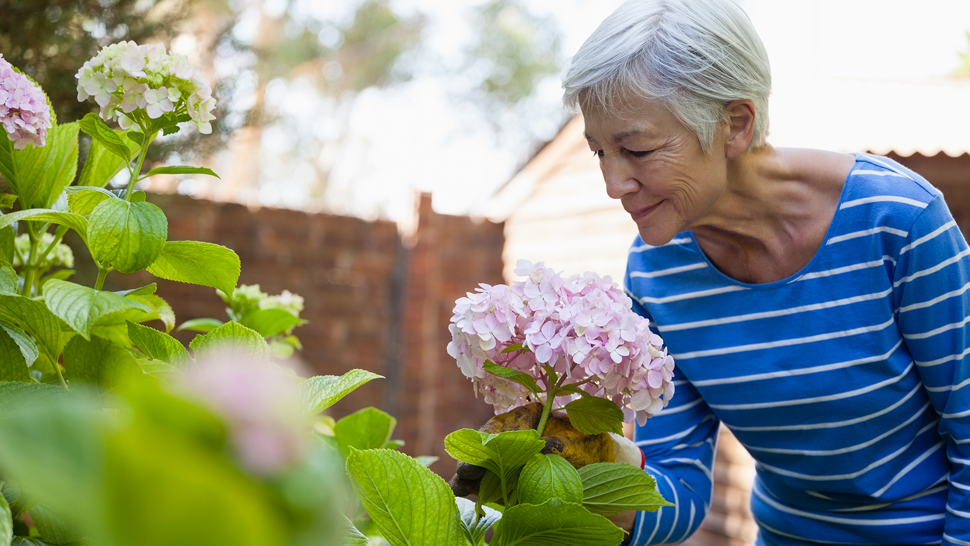 Elderly woman gardening